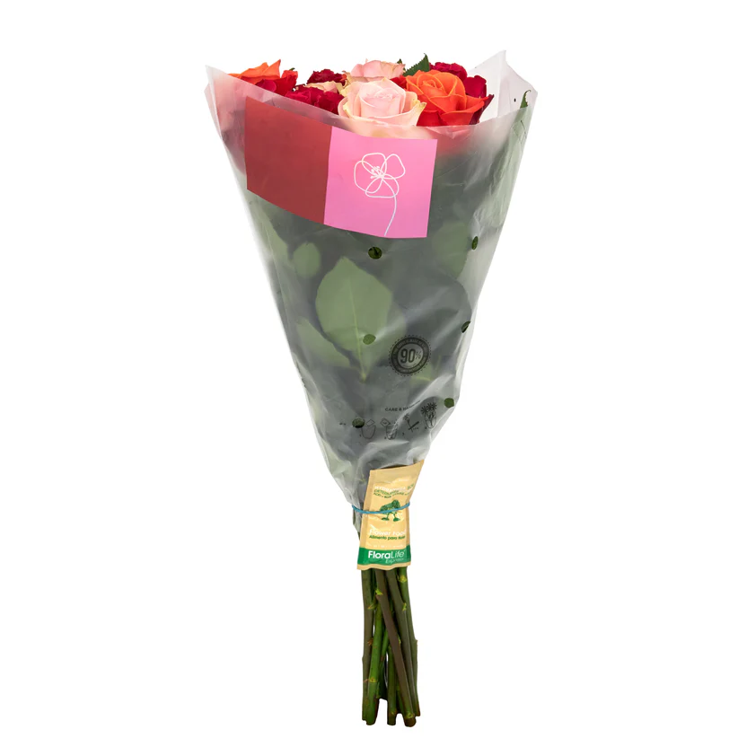 Fresh Cut Dozen Roses 12 Stems